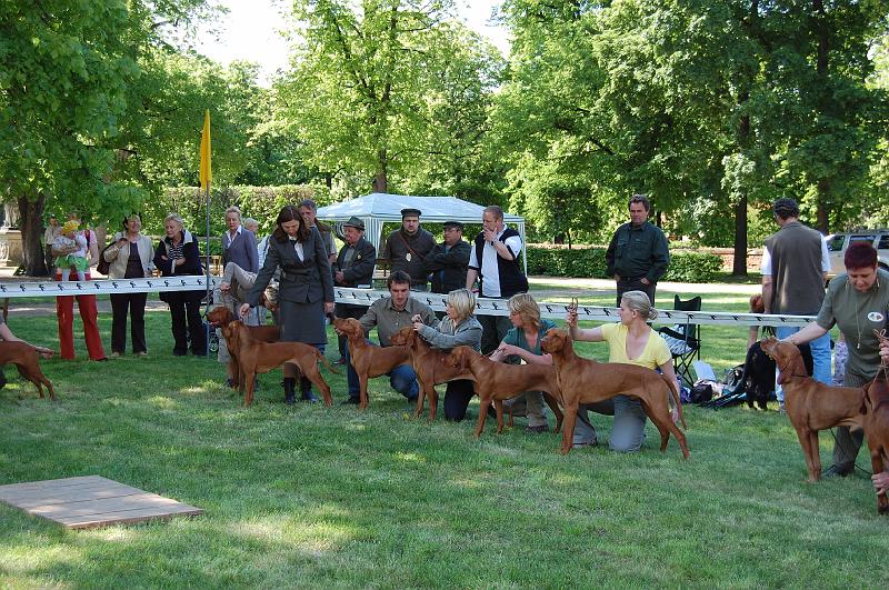 DSC_0470.JPG - Soutěž o Nejlepší chovatelskou skupinu - ChS z Tišnovských revírů (zleva: Aszu,Anett,Arany,Bertha,Bora,Brown)