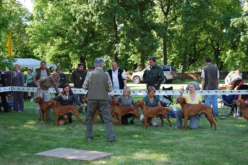 DSC_0472.JPG - Soutěž o Nejlepší chovatelskou skupinu - ChS z Tišnovských revírů (zleva: Aszu,Anett,Arany,Bertha,Bora,Brown)