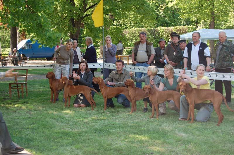 DSC_0482.JPG - Soutěž o Nejlepší chovatelskou skupinu - ChS z Tišnovských revírů (zleva: Aszu,Anett,Arany,Bertha,Bora,Brown)