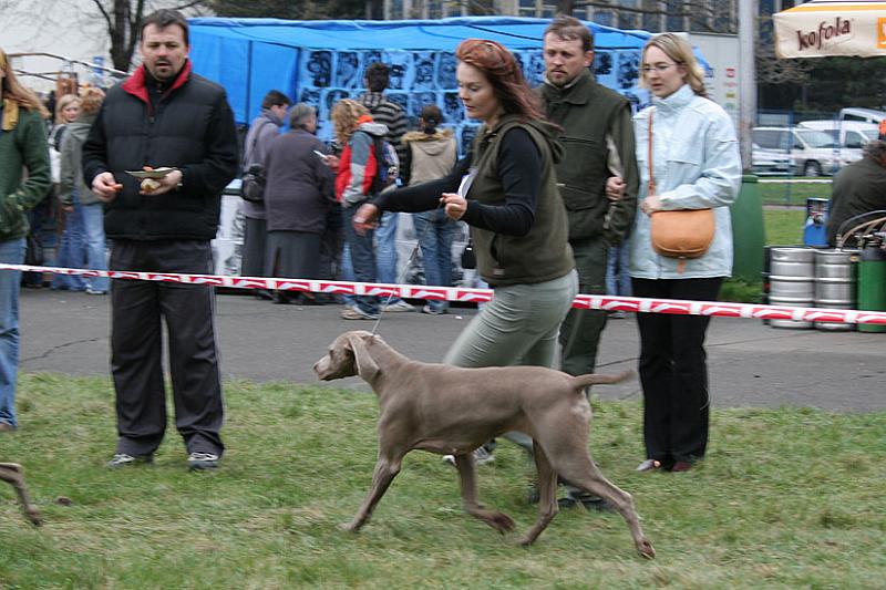 mina_pohyb.jpg - Ch.Ešír z Vtelenských strání - V2, Res.CAC