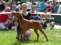 Svtov vstava Pozna