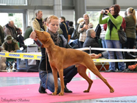 MVP .Budjovice 07 - CAC,Res.CACIB